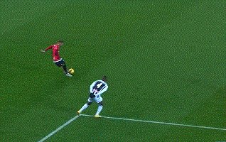动画 (406).gif